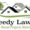 Seedy Lawns