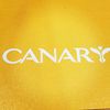 Canary Custom Surfaces