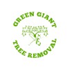 Green Giant Tree Removal