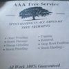 Arborists Of Muskoka