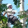 Black Bird Arborist