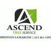 Ascend Tree Service