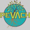 Pevach