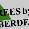 Aberdeen Tree Service