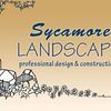 Sycamore Landscape