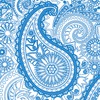 Blue Paisley Fine Rugs