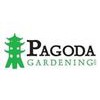 Pagoda Gardening